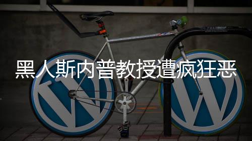 恶搞普教派分黑人子疯狂 变斯内授遭身帮